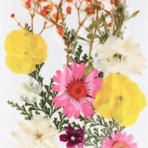 Fleurs séchées pressées - Artemio