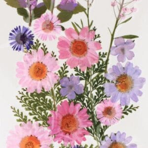 Fleurs séchées pressées - Artemio