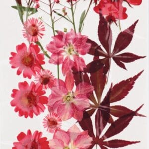 Fleurs séchées pressées - Artemio