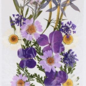Fleurs séchées pressées - Artemio
