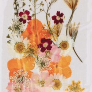 Fleurs séchées pressées - Artemio