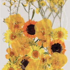 Fleurs séchées pressées - Artemio
