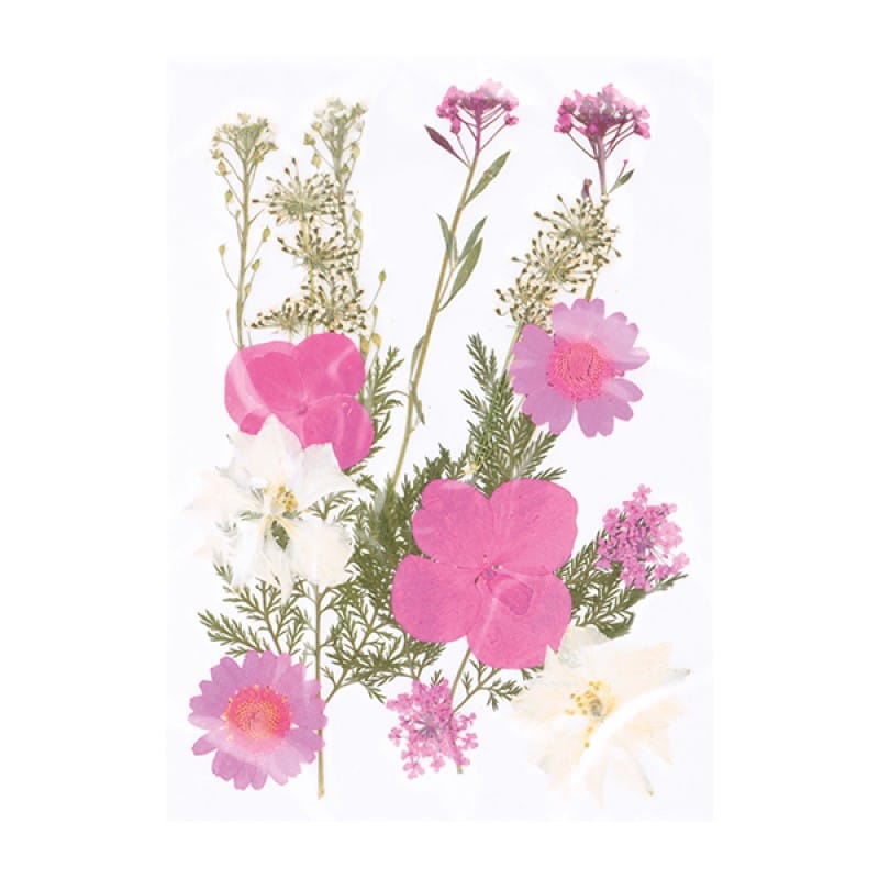 Fleurs séchées pressées - Artemio