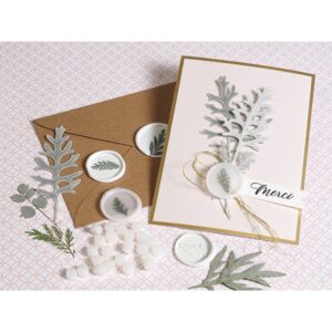 Fleurs séchées pressées - Artemio