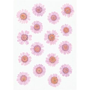 Fleurs séchées pressées - Artemio