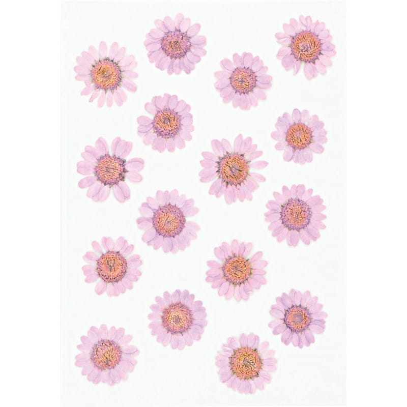 Fleurs séchées pressées - Artemio