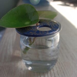 Premo navy - pâte 57 gr - Sculpey