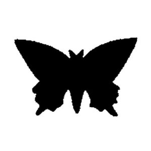Perforatrice papillon 3.5x2 cm - Artemio